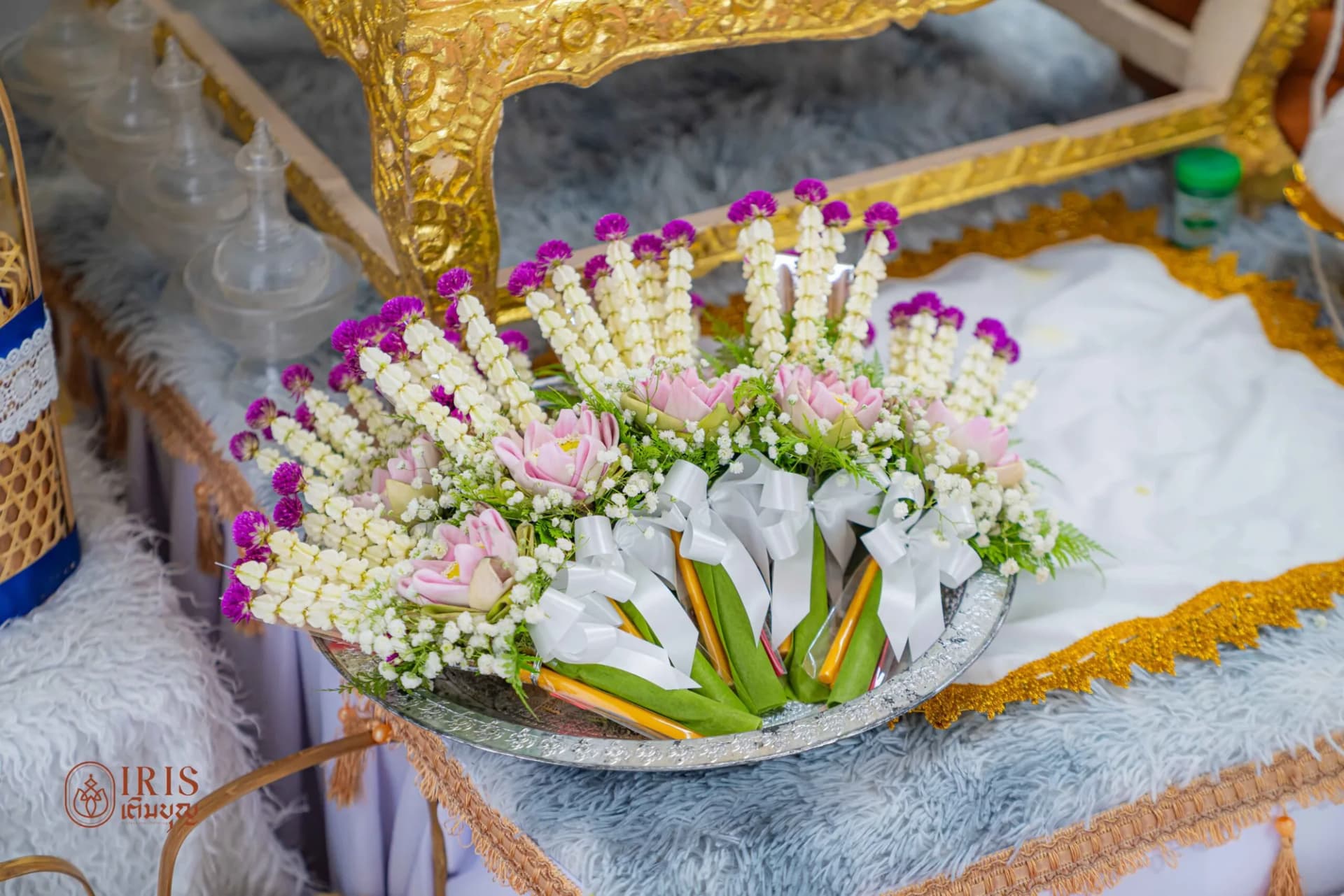 ปลวกแดง ภาพที่ 28