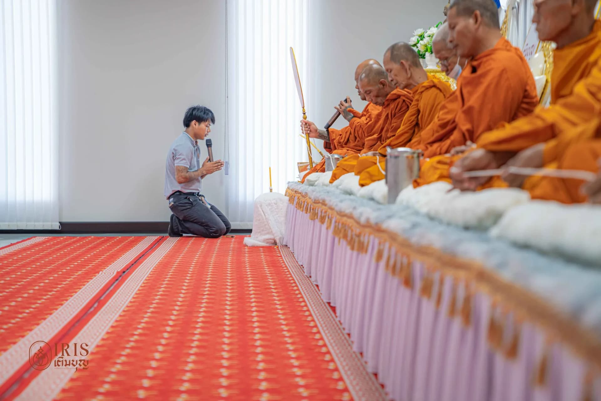 ปลวกแดง ภาพที่ 4