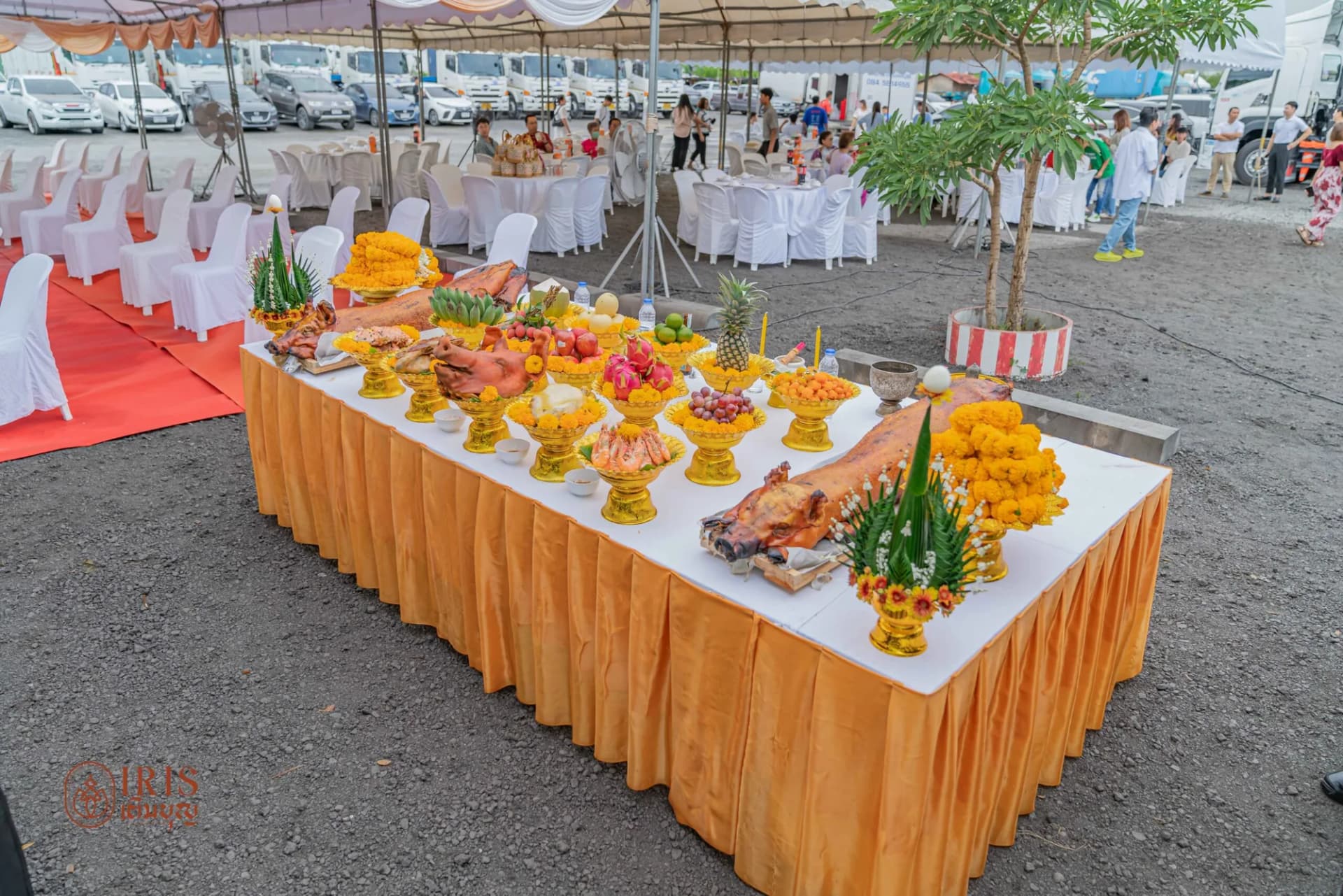 งานพญานาค