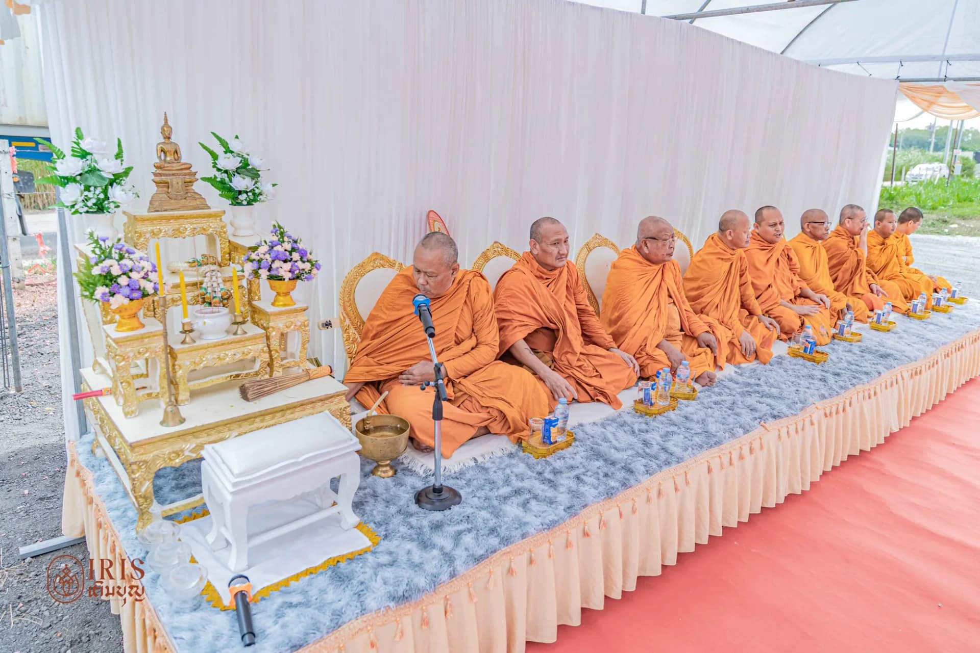 งานพญานาค ภาพที่ 12