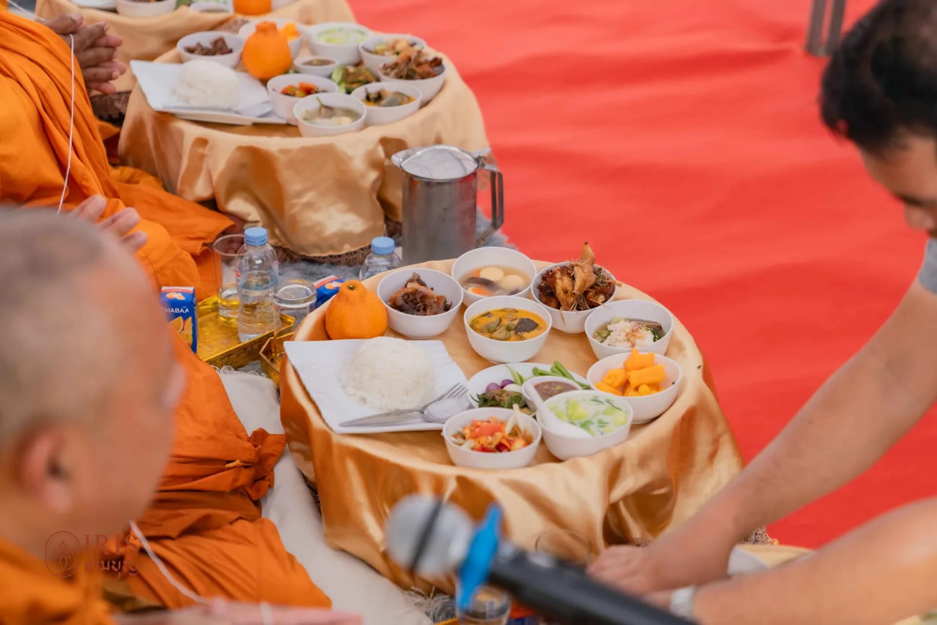 งานพญานาค ภาพที่ 19