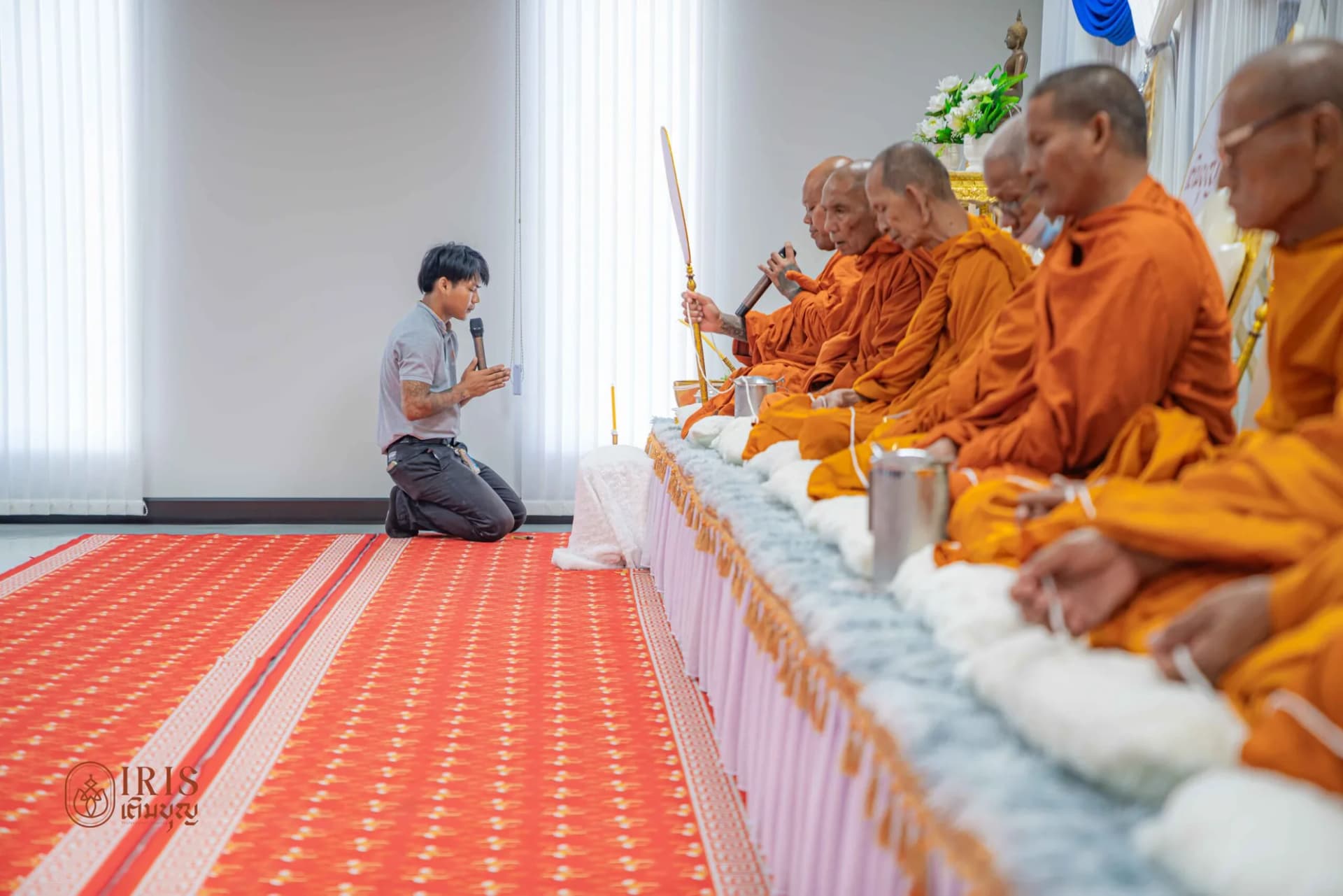 ปลวกแดง ภาพที่ 5