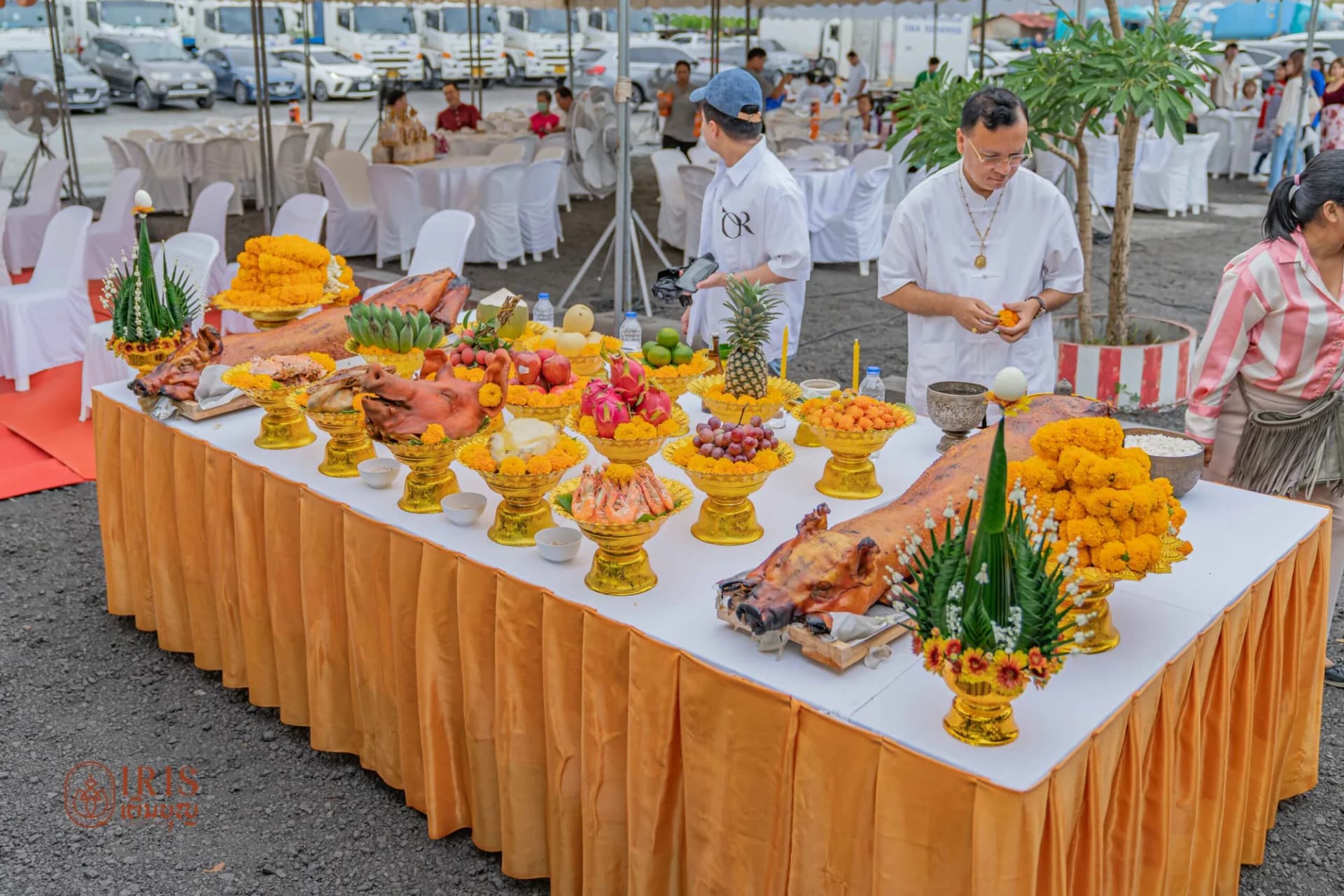 งานพญานาค
