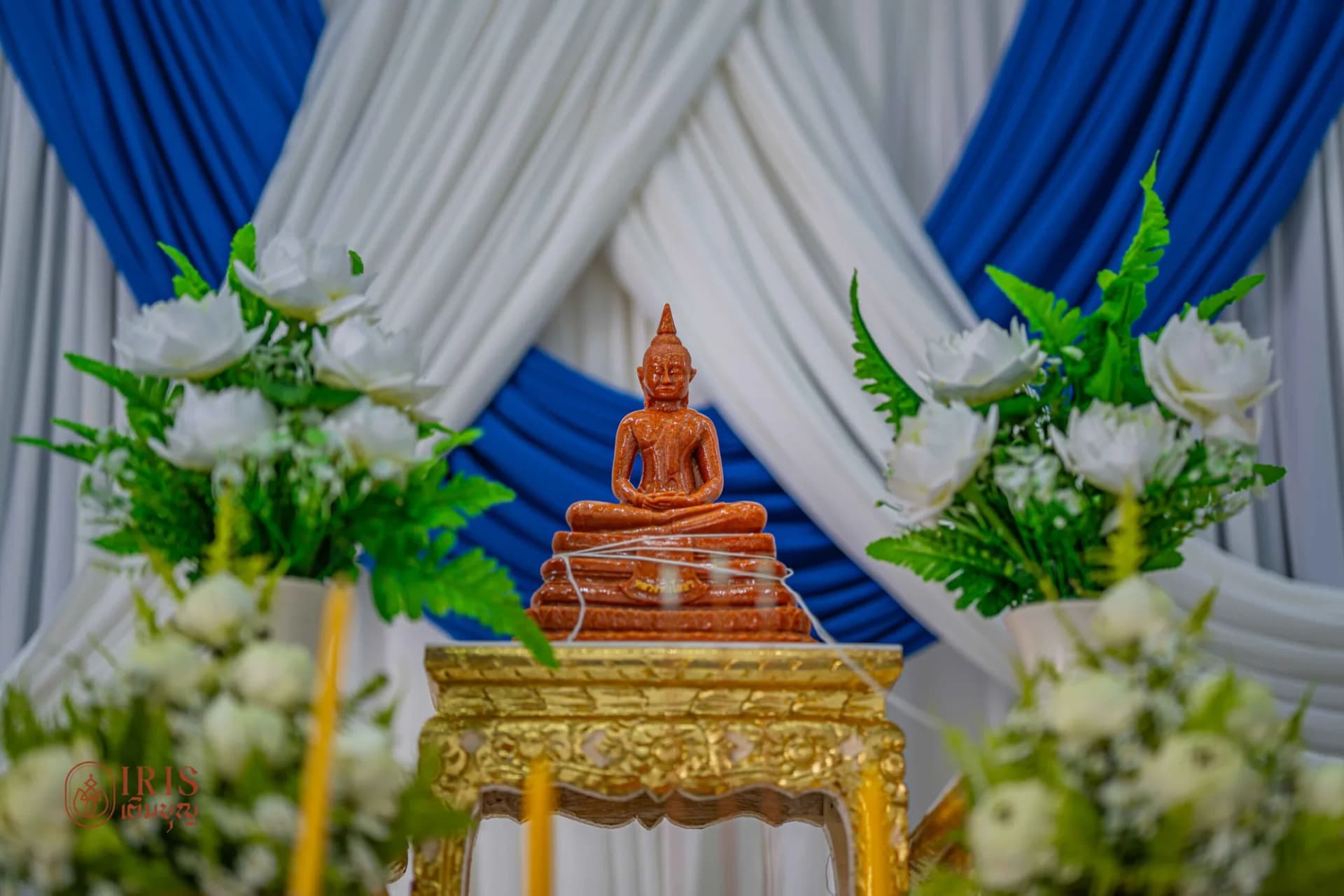 PRIME งานมาบตาพุด ภาพที่ 16
