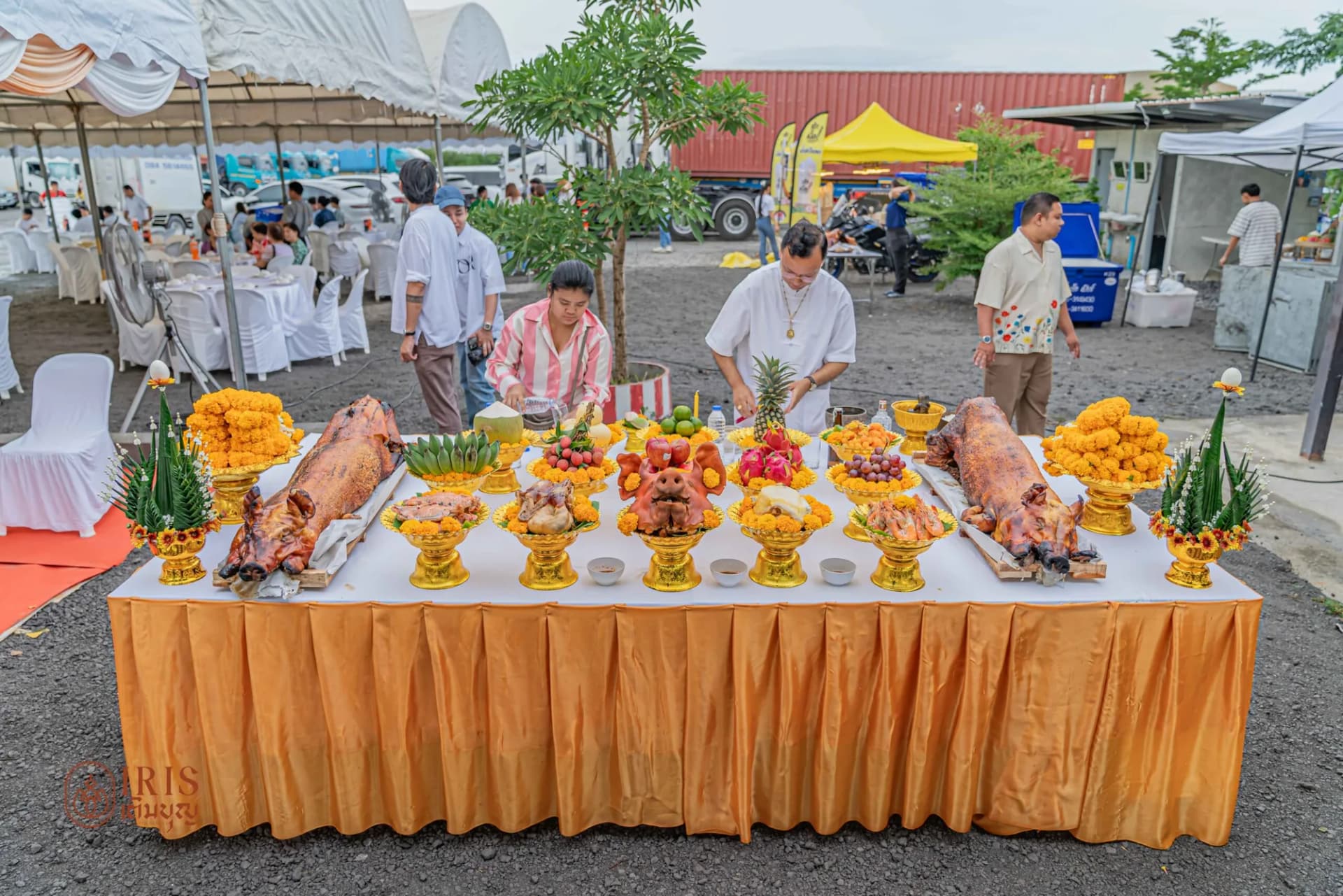 งานพญานาค