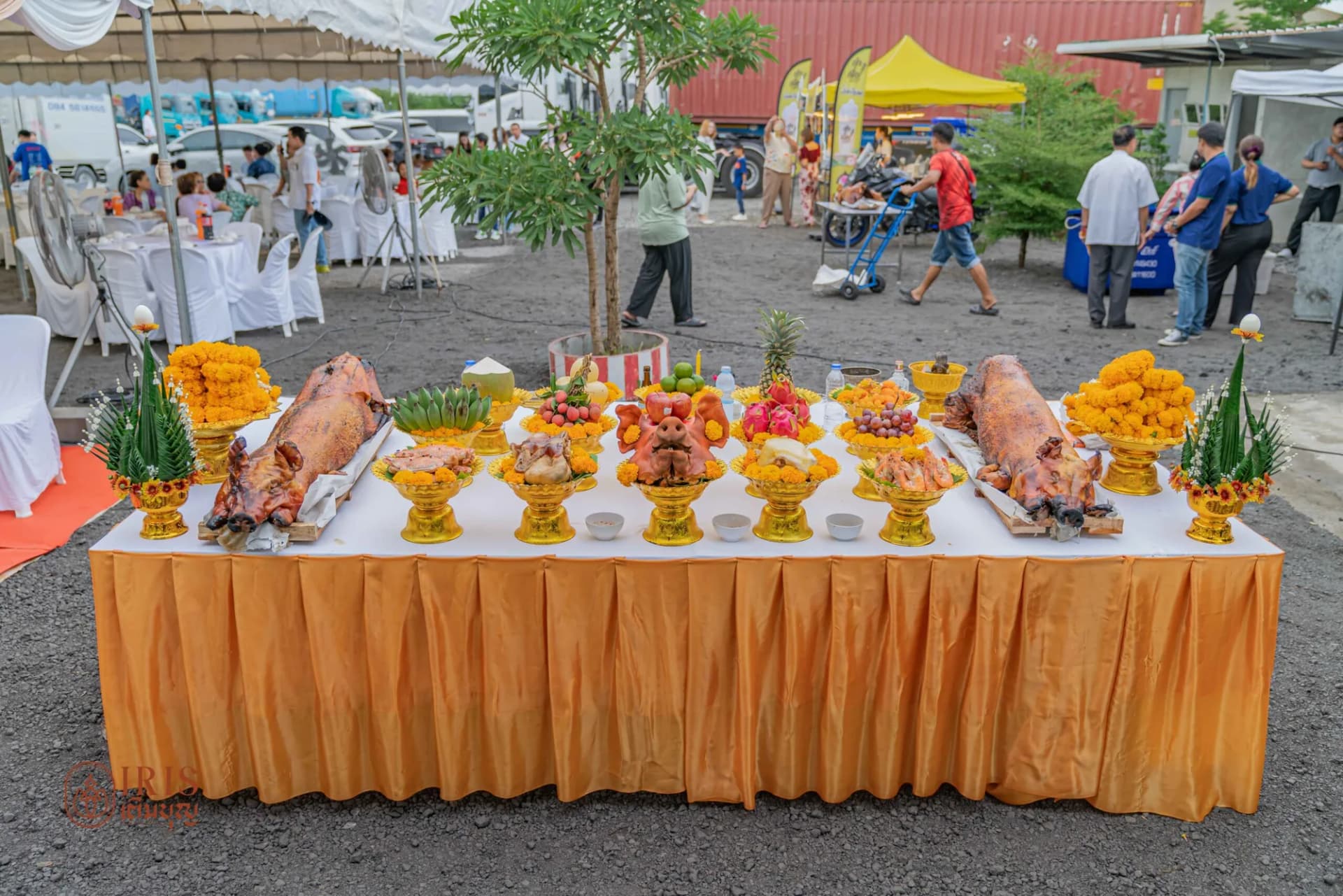 งานพญานาค